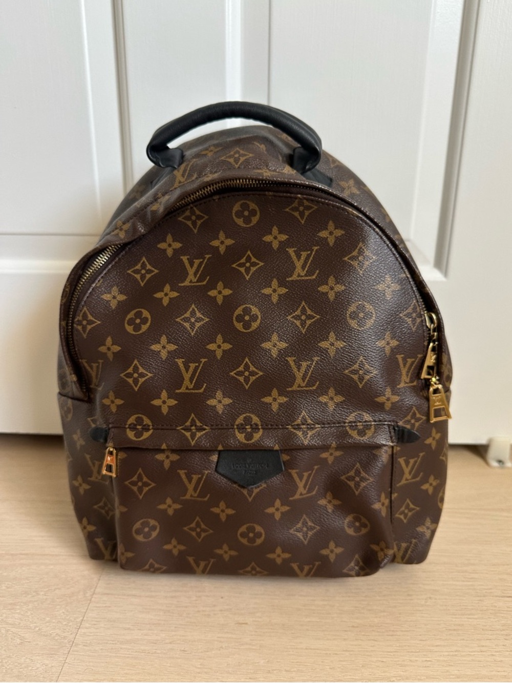 Louis Vuitton Palm Springs MM Backpack